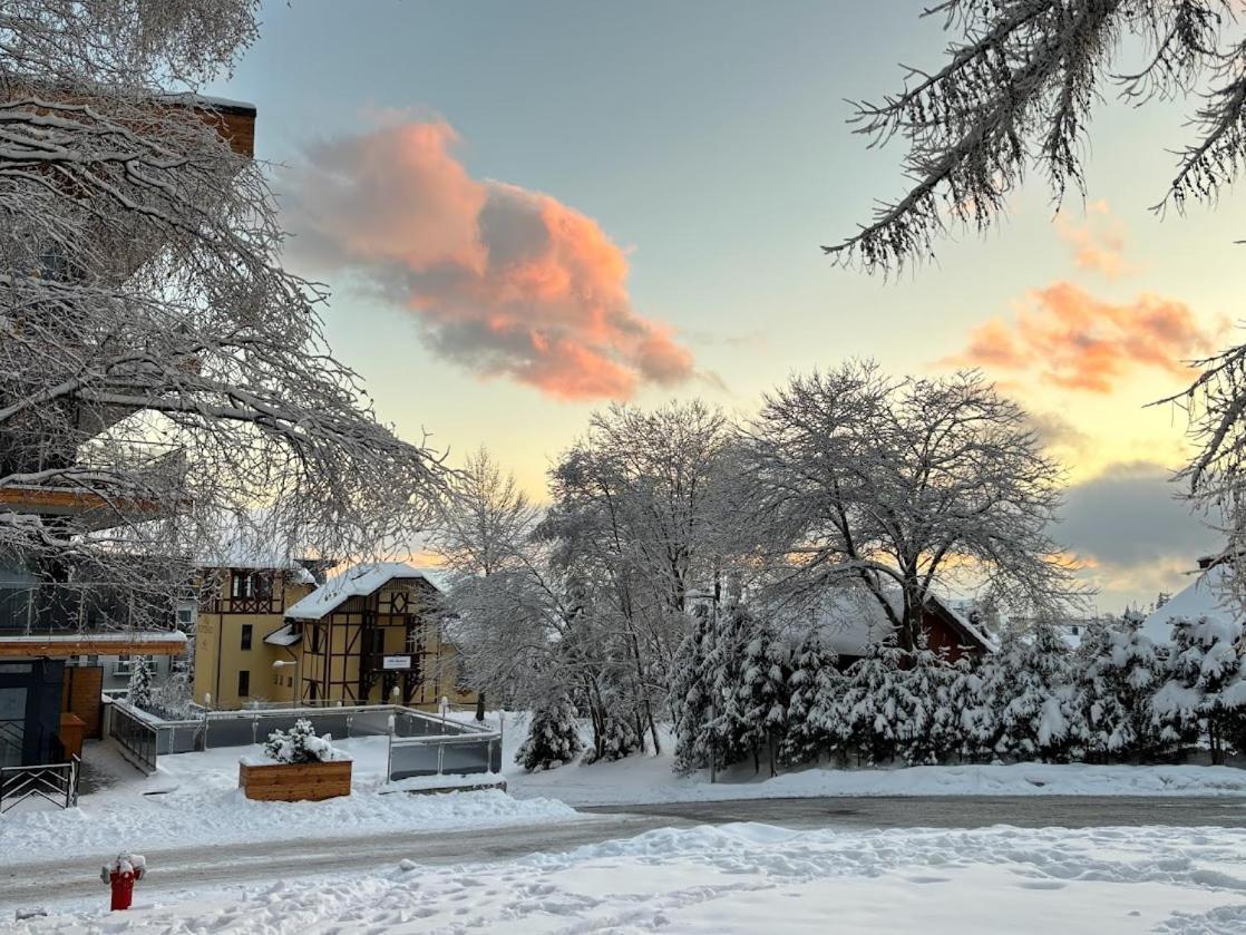 Vysoké Tatry Studio A105 Stary Smokovec Hrebienok מראה חיצוני תמונה