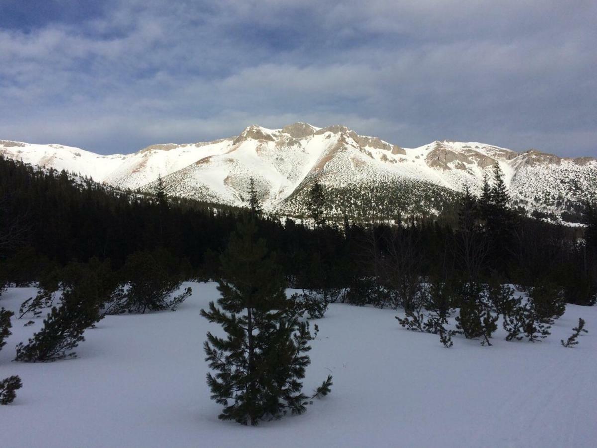 Vysoké Tatry Studio A105 Stary Smokovec Hrebienok מראה חיצוני תמונה